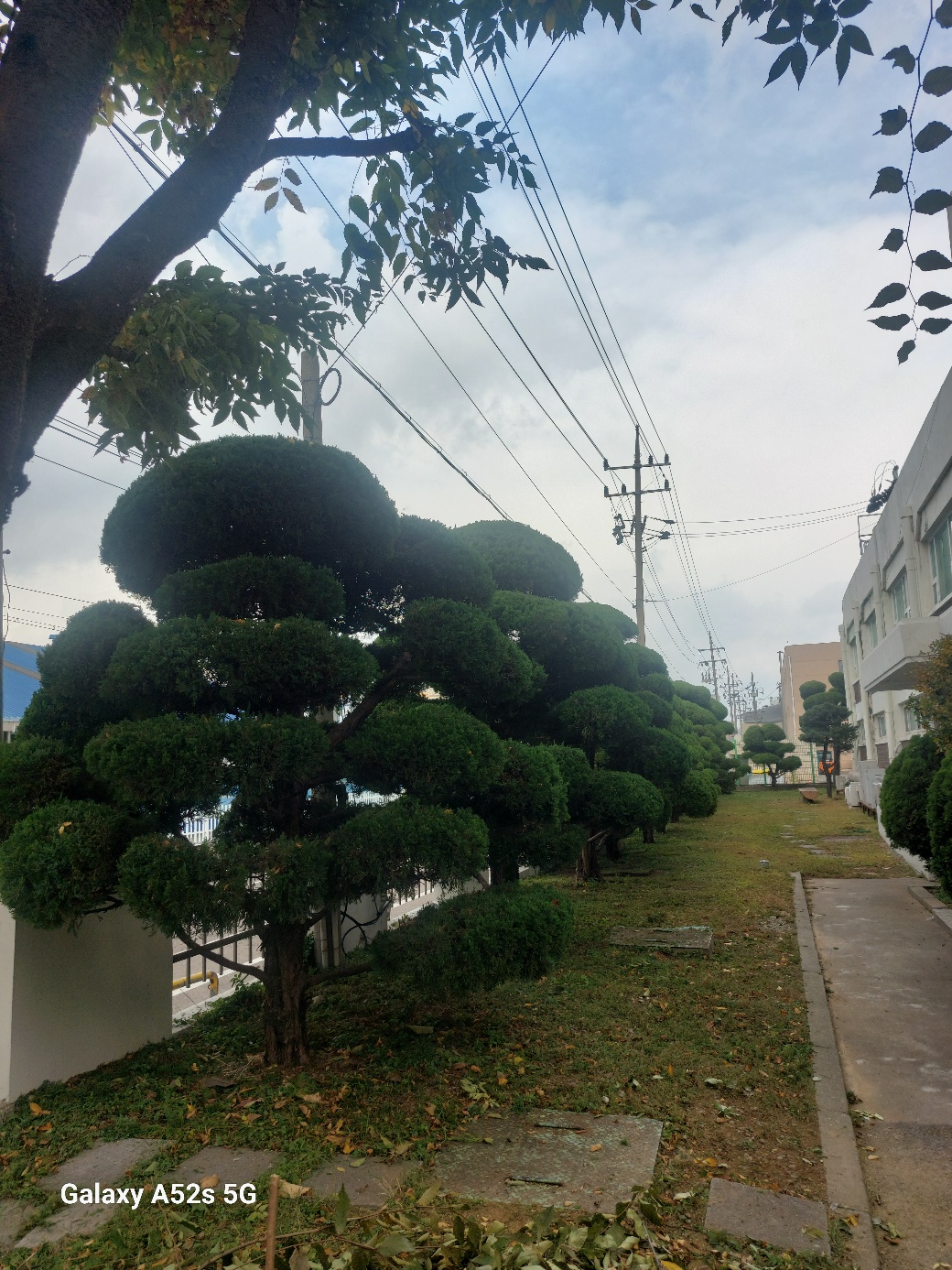 /user/g/ghanalandscape/editor/2412/fd5f1862969e6d684cc0563aee770493_1733311122_3696.jpg 이미지크게보기