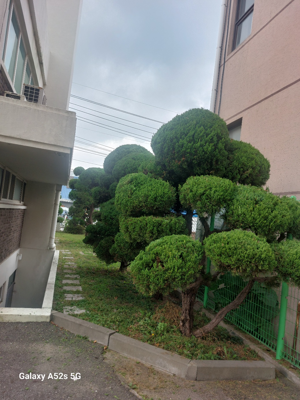 /user/g/ghanalandscape/editor/2412/fd5f1862969e6d684cc0563aee770493_1733311122_9354.jpg 이미지크게보기
