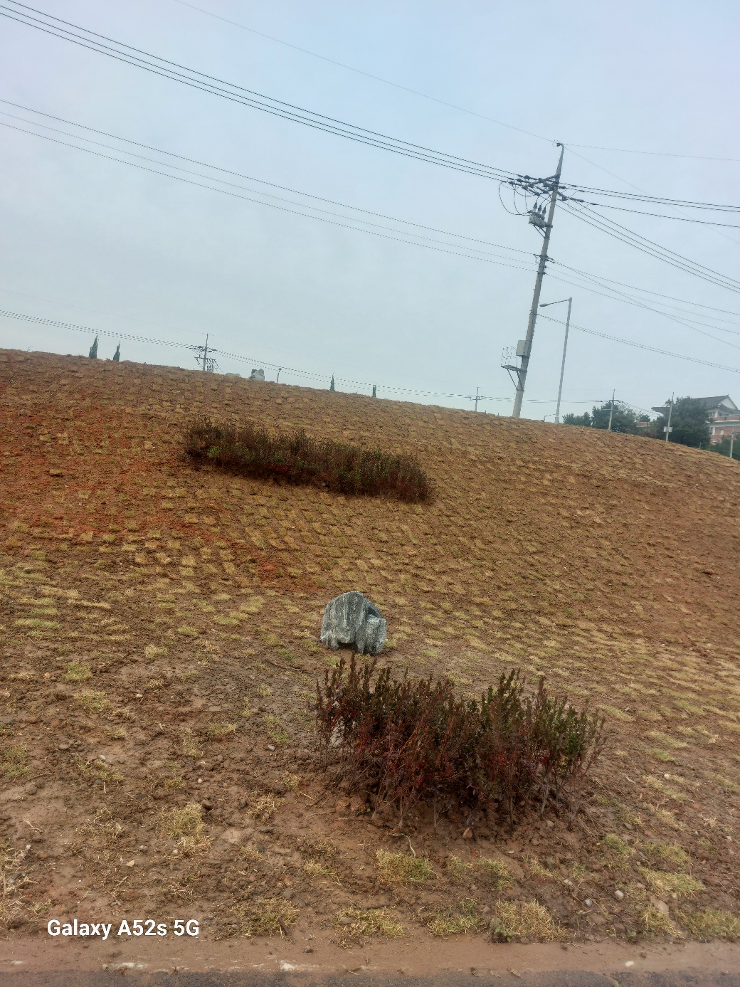 /user/g/ghanalandscape/editor/2412/fd5f1862969e6d684cc0563aee770493_1733311220_827.jpg 이미지크게보기